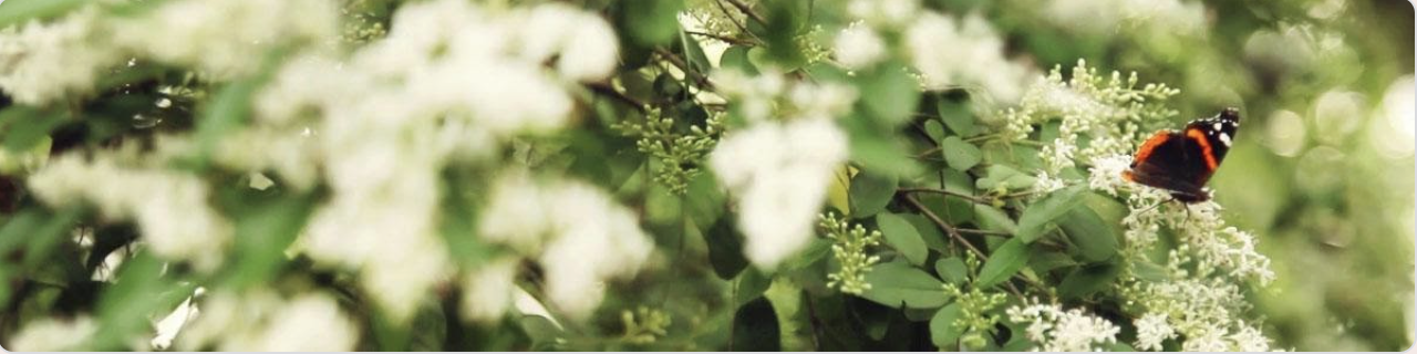 Sonothérapie pour Femmes — Atelier